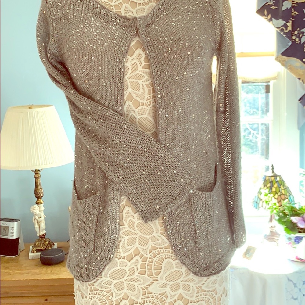 Taylor Marcs Silver Sequined Sweater.